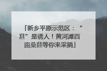 新乡平原示范区：“葚”是诱人！黄河滩百亩桑葚等你来采摘