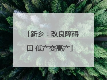 新乡：改良障碍田 低产变高产
