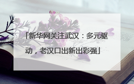 新华网关注武汉：多元驱动，老汉口出新出彩强