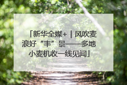 新华全媒+｜风吹麦浪好“丰”景——多地小麦机收一线见闻