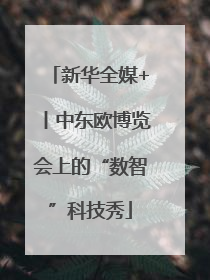 新华全媒+丨中东欧博览会上的“数智”科技秀