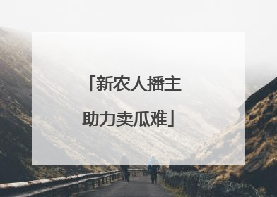 新农人播主 助力卖瓜难