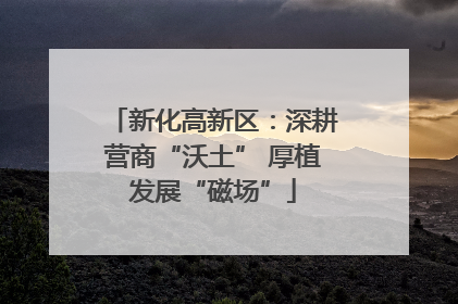 新化高新区：深耕营商“沃土” 厚植发展“磁场”