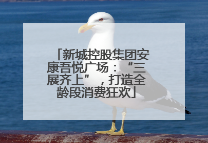 新城控股集团安康吾悦广场：“三展齐上”，打造全龄段消费狂欢