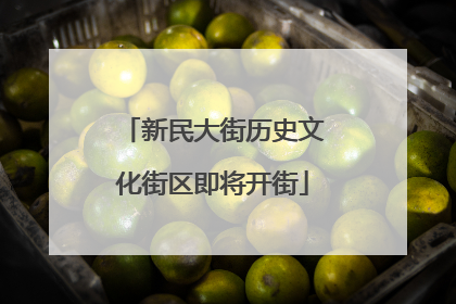 新民大街历史文化街区即将开街