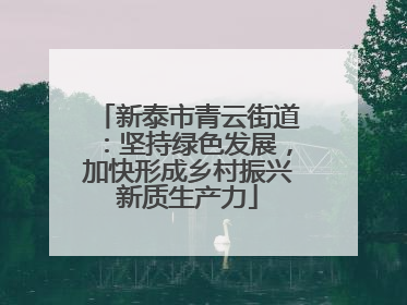 新泰市青云街道：坚持绿色发展，加快形成乡村振兴新质生产力