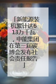 新能源装机累计达613万千瓦，申能集团在第三届碳博会发布社会责任报告