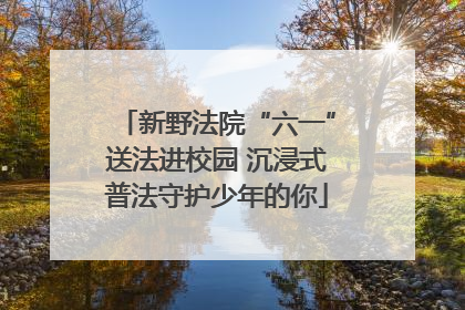 新野法院“六一”送法进校园 沉浸式普法守护少年的你