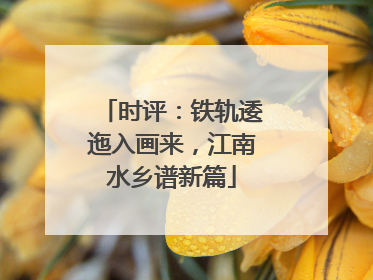 时评：铁轨逶迤入画来，江南水乡谱新篇