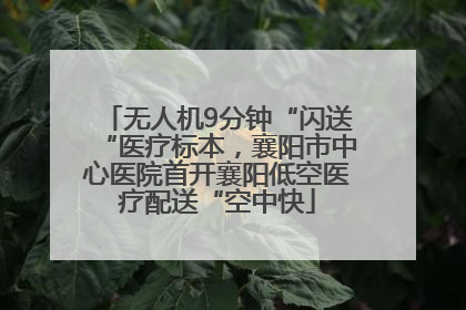 无人机9分钟“闪送“医疗标本，襄阳市中心医院首开襄阳低空医疗配送“空中快