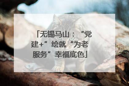 无锡马山：“党建+”绘就“为老服务”幸福底色