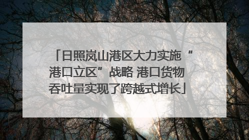 日照岚山港区大力实施“港口立区”战略 港口货物吞吐量实现了跨越式增长