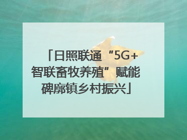 日照联通“5G+智联畜牧养殖”赋能碑廓镇乡村振兴