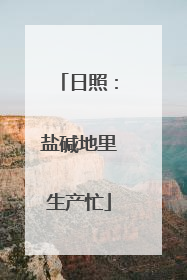 日照：盐碱地里生产忙