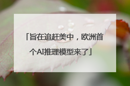 旨在追赶美中，欧洲首个AI推理模型来了