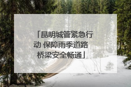 昆明城管紧急行动 保障雨季道路桥梁安全畅通