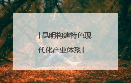昆明构建特色现代化产业体系