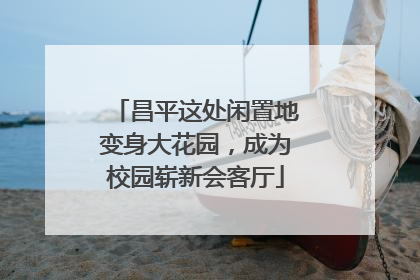 昌平这处闲置地变身大花园，成为校园崭新会客厅