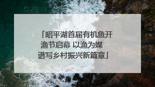 昭平湖首届有机鱼开渔节启幕 以渔为媒 谱写乡村振兴新篇章