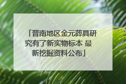 晋南地区金元葬具研究有了新实物标本 最新挖掘资料公布