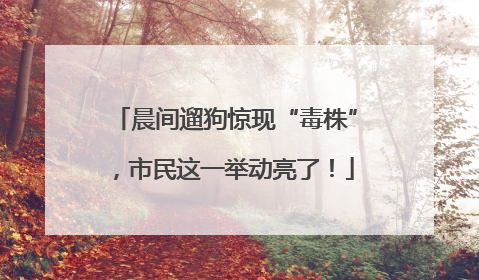 晨间遛狗惊现“毒株”，市民这一举动亮了！