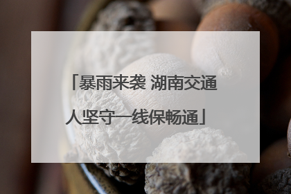 暴雨来袭 湖南交通人坚守一线保畅通
