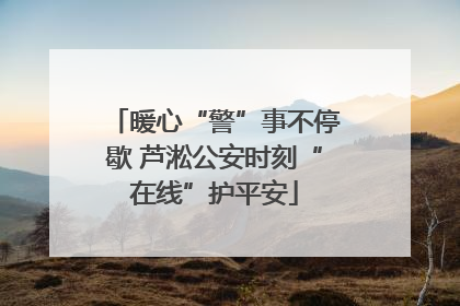 暖心“警”事不停歇 芦淞公安时刻“在线”护平安