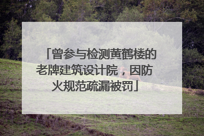 曾参与检测黄鹤楼的老牌建筑设计院，因防火规范疏漏被罚