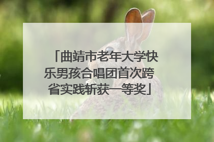 曲靖市老年大学快乐男孩合唱团首次跨省实践斩获一等奖