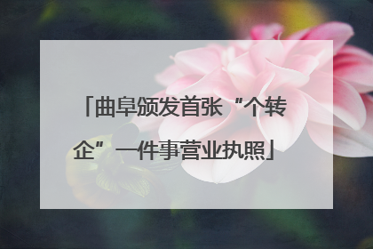 曲阜颁发首张“个转企”一件事营业执照