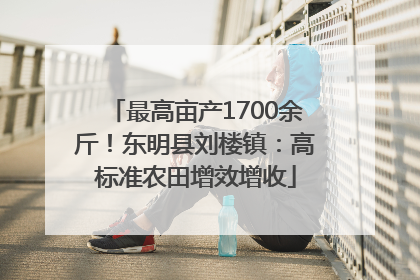 最高亩产1700余斤！东明县刘楼镇：高标准农田增效增收