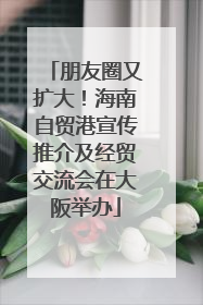 朋友圈又扩大！海南自贸港宣传推介及经贸交流会在大阪举办