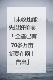 未收也能先以好价卖！全省已有70多万亩新麦在网上售出