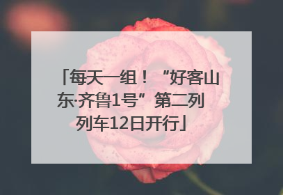 每天一组！“好客山东·齐鲁1号”第二列列车12日开行