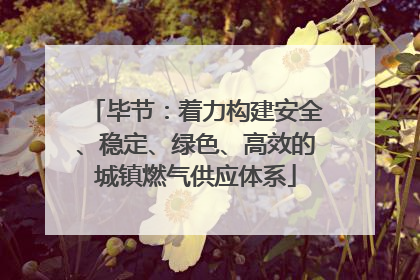 毕节：着力构建安全、稳定、绿色、高效的城镇燃气供应体系