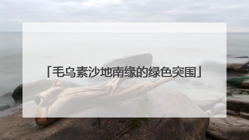 毛乌素沙地南缘的绿色突围