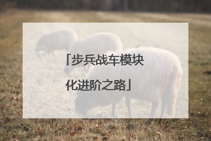 步兵战车模块化进阶之路