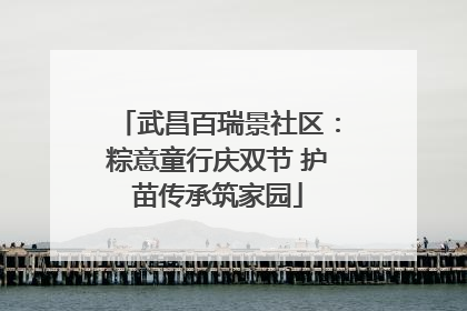 武昌百瑞景社区：粽意童行庆双节 护苗传承筑家园