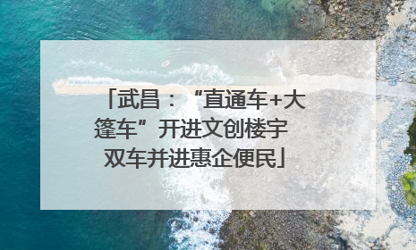 武昌：“直通车+大篷车”开进文创楼宇 双车并进惠企便民