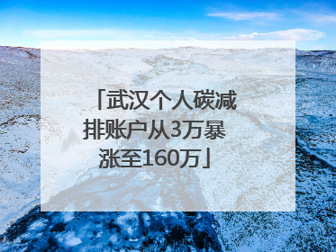 武汉个人碳减排账户从3万暴涨至160万