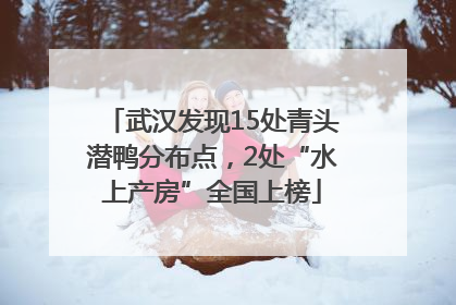武汉发现15处青头潜鸭分布点，2处“水上产房”全国上榜