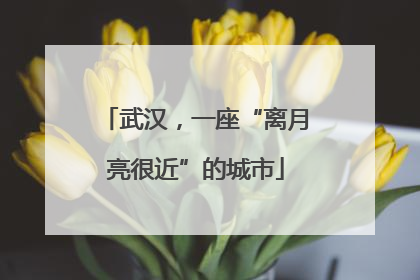 武汉，一座“离月亮很近”的城市