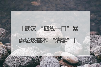武汉 “四线一口”暴露垃圾基本 “清零”