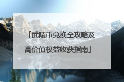 武陵币兑换全攻略及高价值权益收获指南