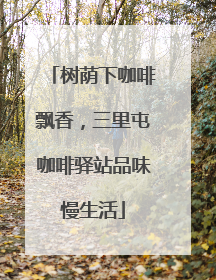 树荫下咖啡飘香，三里屯咖啡驿站品味慢生活