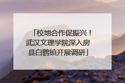 校地合作促振兴！武汉文理学院深入房县白鹤镇开展调研