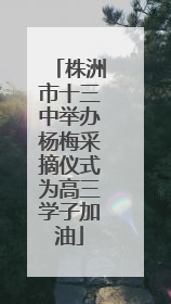 株洲市十三中举办杨梅采摘仪式为高三学子加油