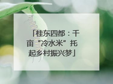 桂东四都：千亩“冷水米”托起乡村振兴梦