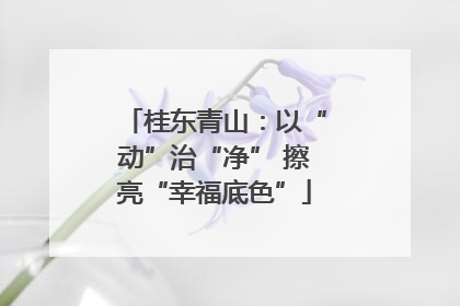 桂东青山：以“动”治“净” 擦亮“幸福底色”