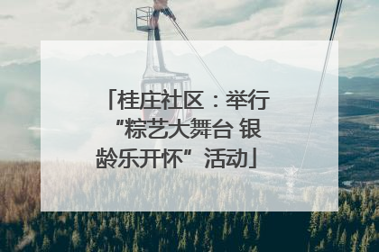 桂庄社区：举行“粽艺大舞台 银龄乐开怀”活动